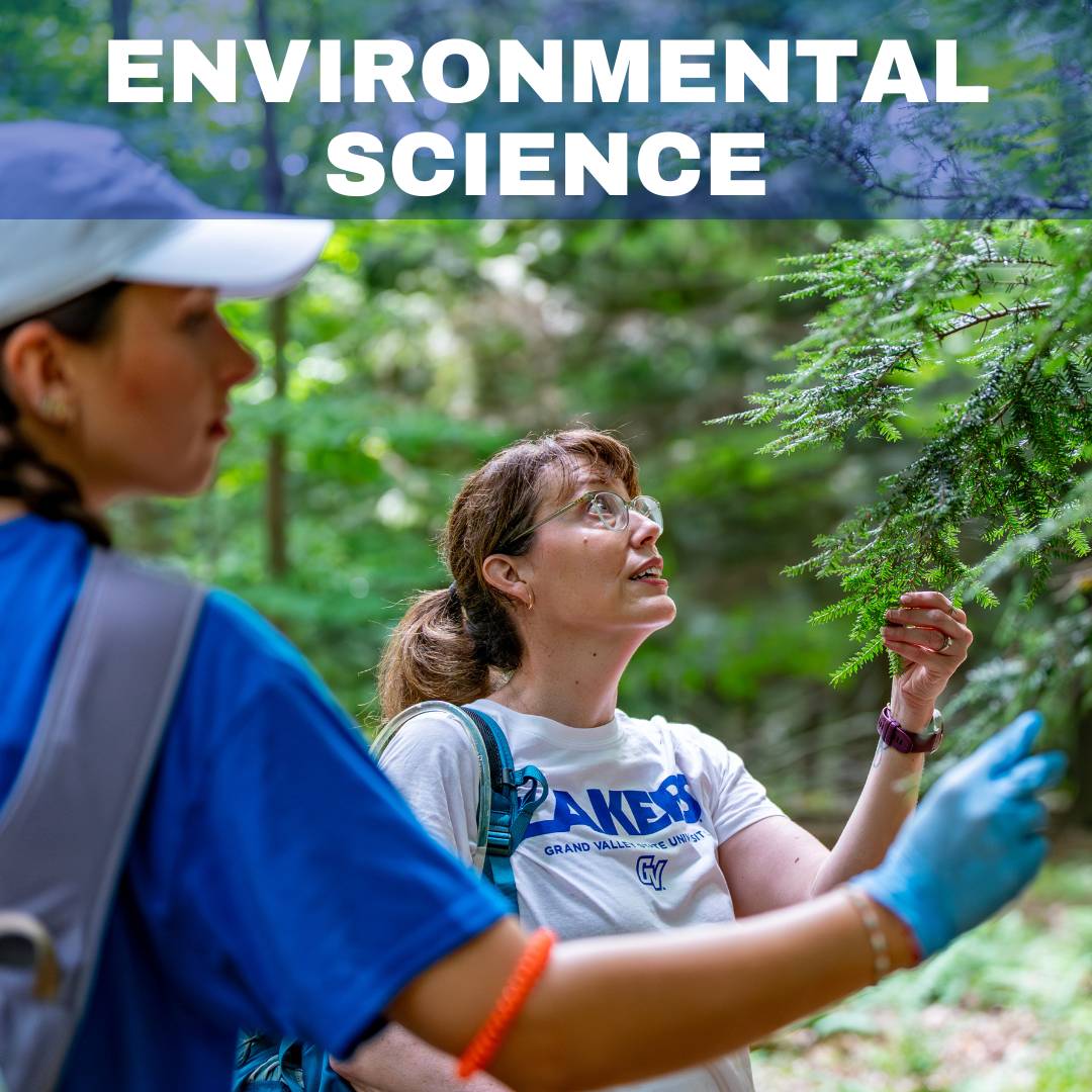 people touching a tree